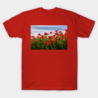 Blood red Poppies against a blue sky T-Shirt